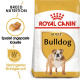 BHN English Bulldog 3kg